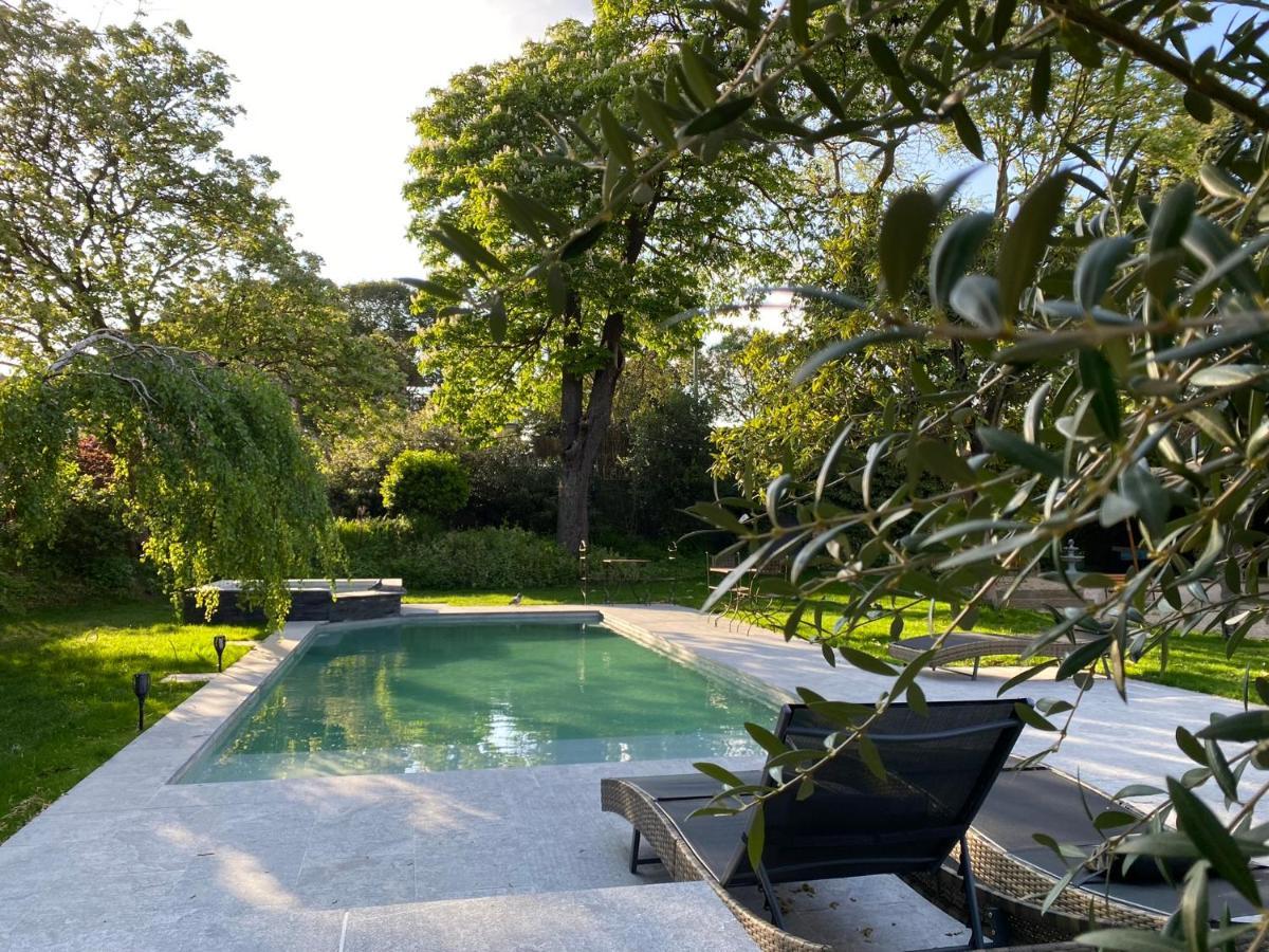 Demeure Saint Louis Historic Manor, City 700M, Parking,A C,Clim,Wifi, Heated Pool, City View Carcassonne Zewnętrze zdjęcie